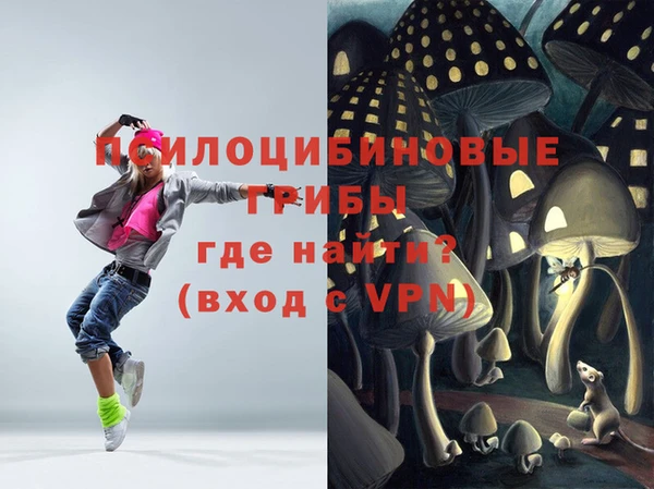 индика Пересвет