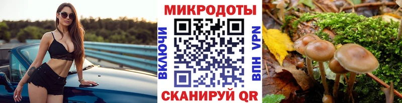 Купить где  Южноуральск  Галлюциногенные грибы мицелий 